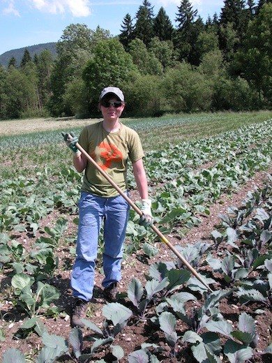 Person bei der Arbeit im Gemüsefeld